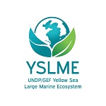 YSLME